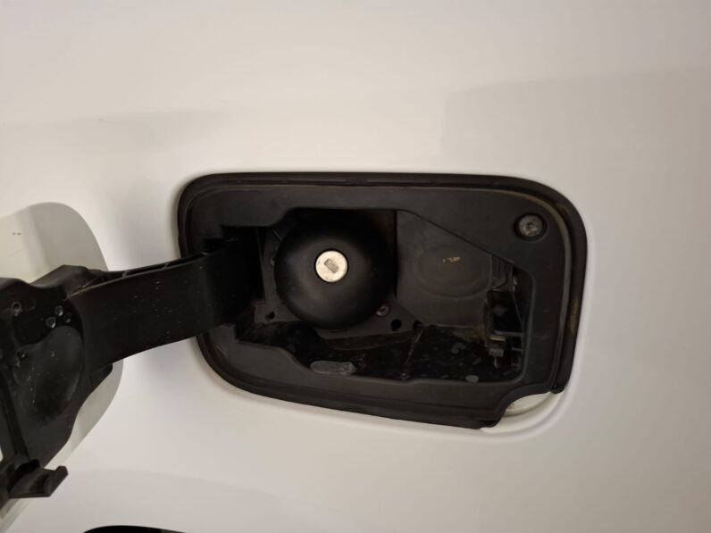 
								RENAULT KANGOO FURGON -2019- 90 CV full									