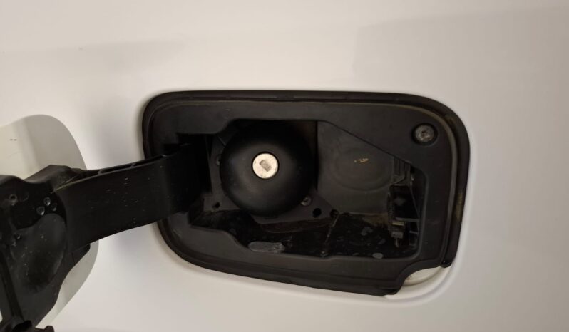 
								RENAULT KANGOO FURGON -2019- 90 CV full									